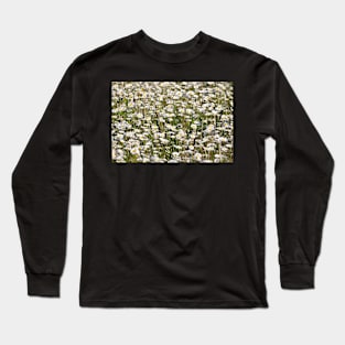 Field of daisies Long Sleeve T-Shirt